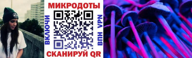 Галлюциногенные грибы Psilocybe Яровое